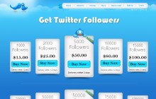 howtotwitterfollowers